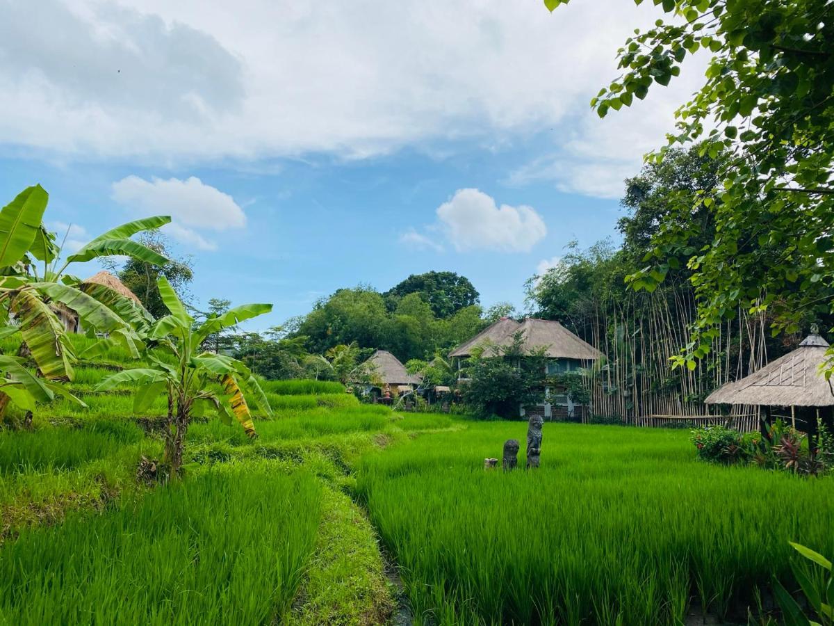 Kts Balinese Villas Canggu Екстериор снимка